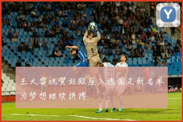 王大雷祝贺刘殿座入选国足新名单为梦想继续拼搏
