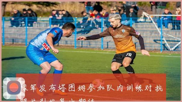 绿军发布塔图姆参加队内训练对抗照片引发复出期待